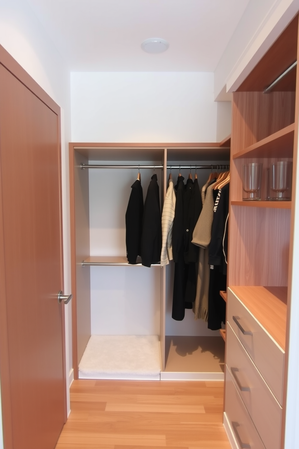 A stylish bedroom closet features a spacious layout with a pull-down wardrobe rod for easy access to clothing. The walls are adorned with soft neutral tones, and the flooring is a warm wood finish that complements the overall design.