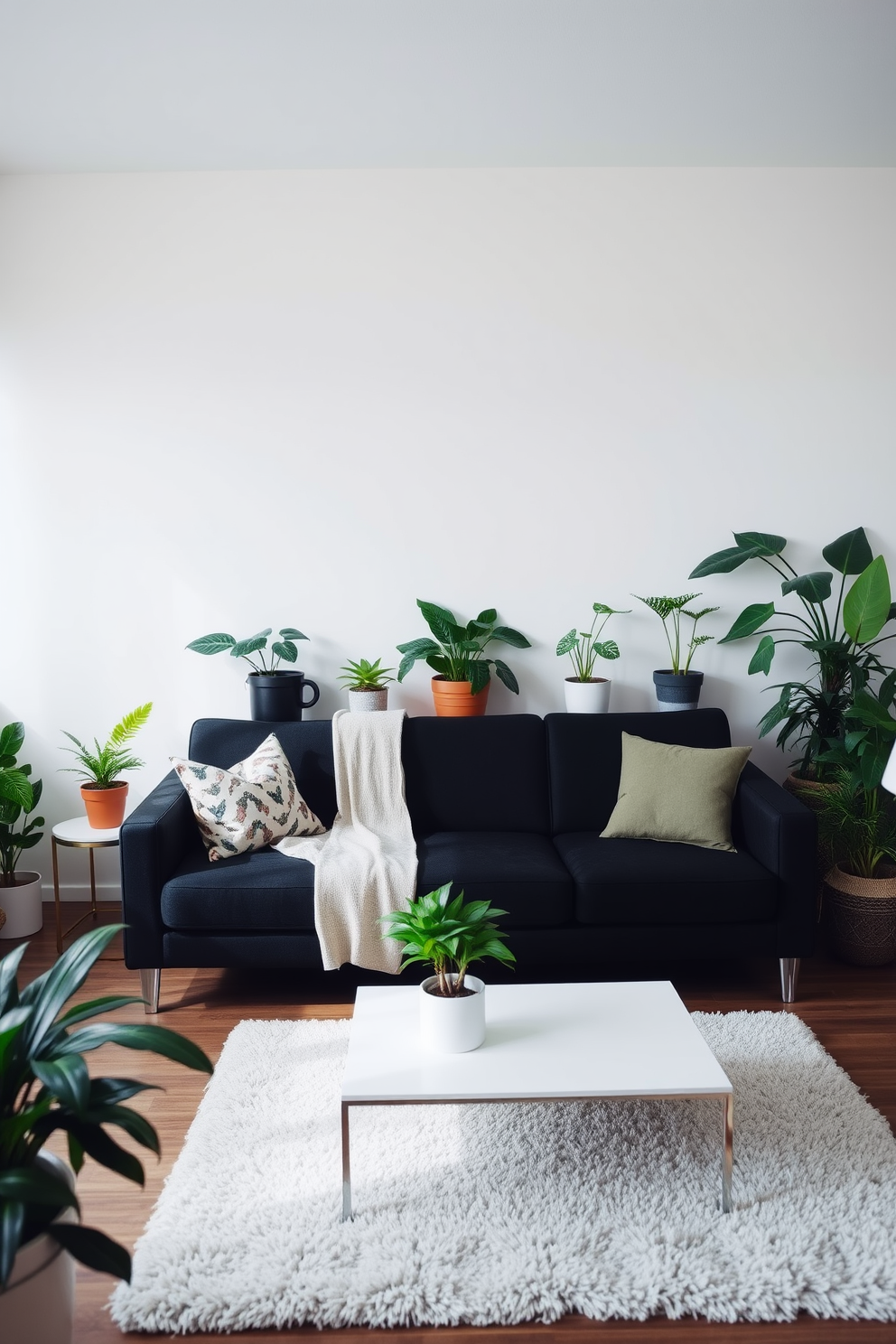 A stylish living room featuring a black couch as the focal point. Surrounding the couch are various indoor plants in decorative pots, adding a vibrant touch of greenery to the space. The walls are painted in a soft neutral tone, creating a warm and inviting atmosphere. A sleek coffee table sits in front of the couch, complemented by a plush area rug that ties the room together.