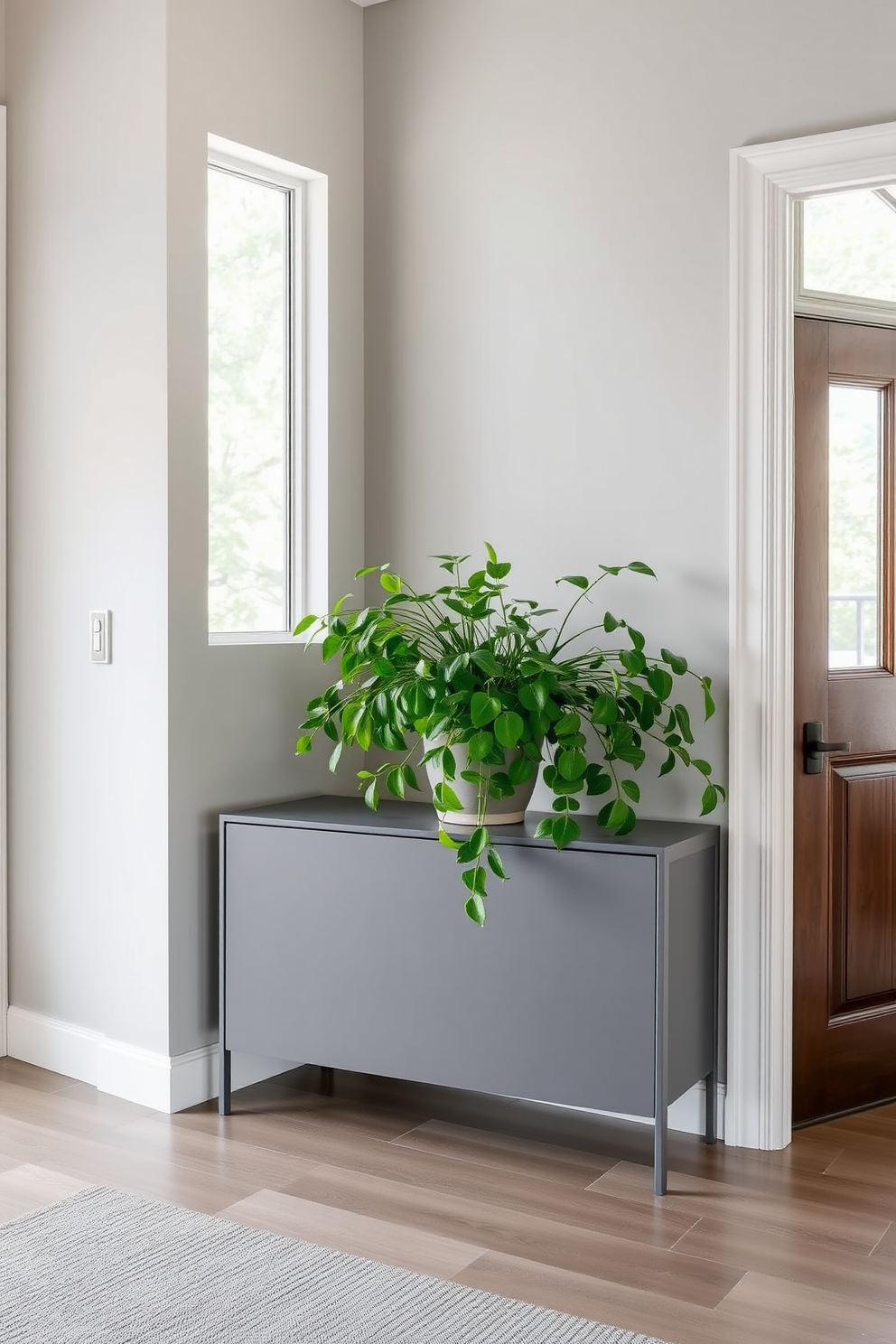 Fresh greenery against a gray backdrop. The foyer features a sleek gray console table adorned with a vibrant potted plant, creating a striking contrast. Soft natural light filters through a large window, illuminating the space. The walls are painted a light gray, complemented by a textured area rug in a darker shade.