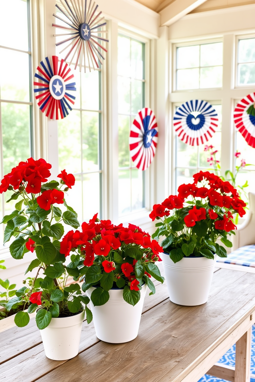 A sunroom filled with natural light features vibrant red geraniums in white pots positioned on a rustic wooden table. The decor is themed around Independence Day, with red, white, and blue accents adorning the space, creating a festive and inviting atmosphere.