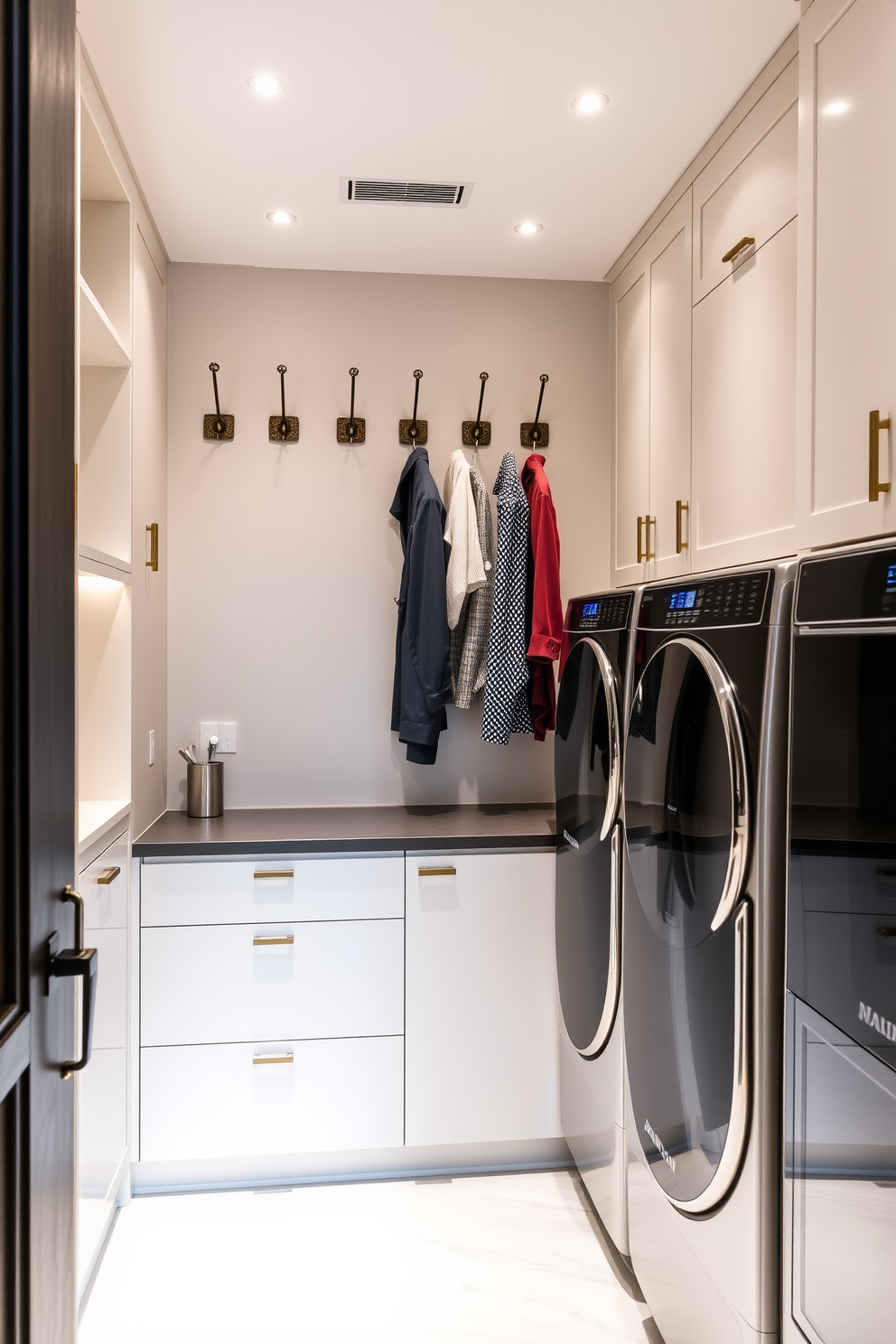 A luxury laundry room featuring decorative hooks elegantly arranged on the wall for stylish garment hanging. The room is designed with high-end appliances, a sleek countertop, and ample storage solutions to create an organized and functional space.