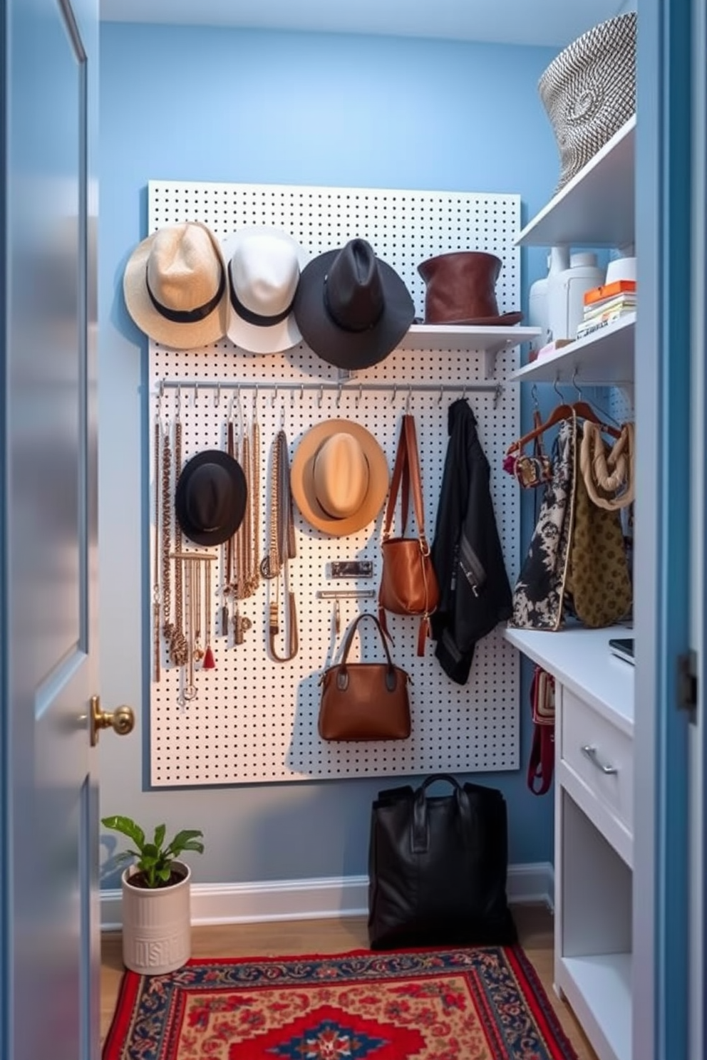 A stylish closet featuring a pegboard wall for organizing accessories. The pegboard is adorned with hooks and shelves displaying hats, bags, and jewelry in a harmonious arrangement. The closet is painted in a soft blue hue to evoke a calm atmosphere. Decorative elements such as a small potted plant and a vibrant rug add a touch of personality to the space.