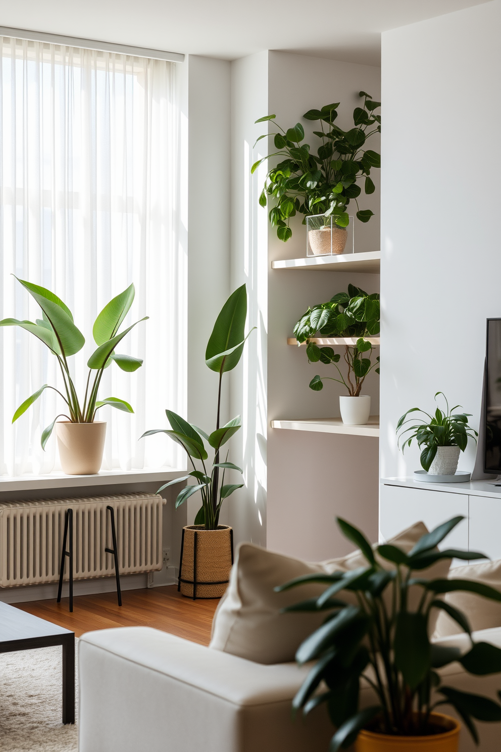 A serene minimalist apartment filled with natural light. Lush indoor plants are strategically placed in corners and on shelves, bringing a touch of nature to the sleek, modern decor. The open-plan living area features a neutral color palette with soft textures. Simple furniture pieces with clean lines create an inviting and uncluttered atmosphere.