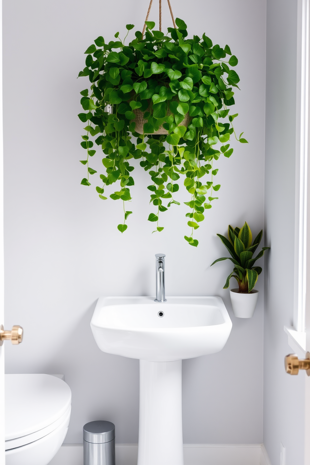 Indoor plants for a touch of nature. A modern quarter bathroom features a sleek white pedestal sink and a compact toilet. Rich green foliage spills from a hanging planter above the sink, creating a vibrant contrast against the light gray walls. A small potted snake plant sits on the windowsill, adding a fresh element to the space.