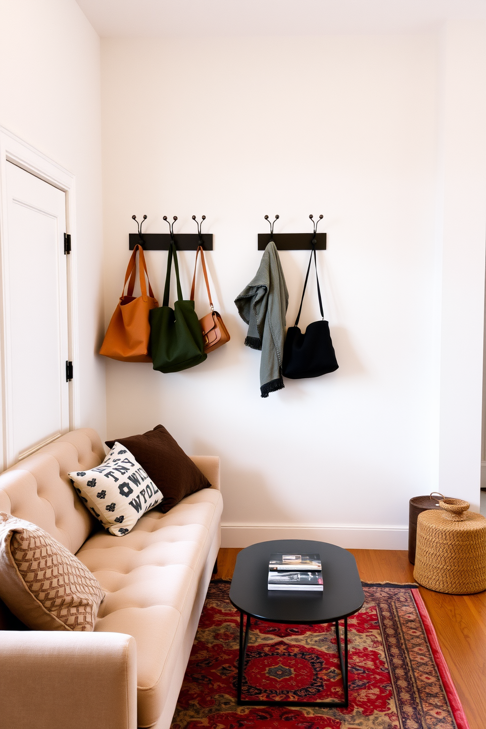 A cozy small apartment living room featuring wall hooks for bags and coats. The space is adorned with a plush sofa in a neutral tone, complemented by a stylish coffee table and a vibrant area rug.