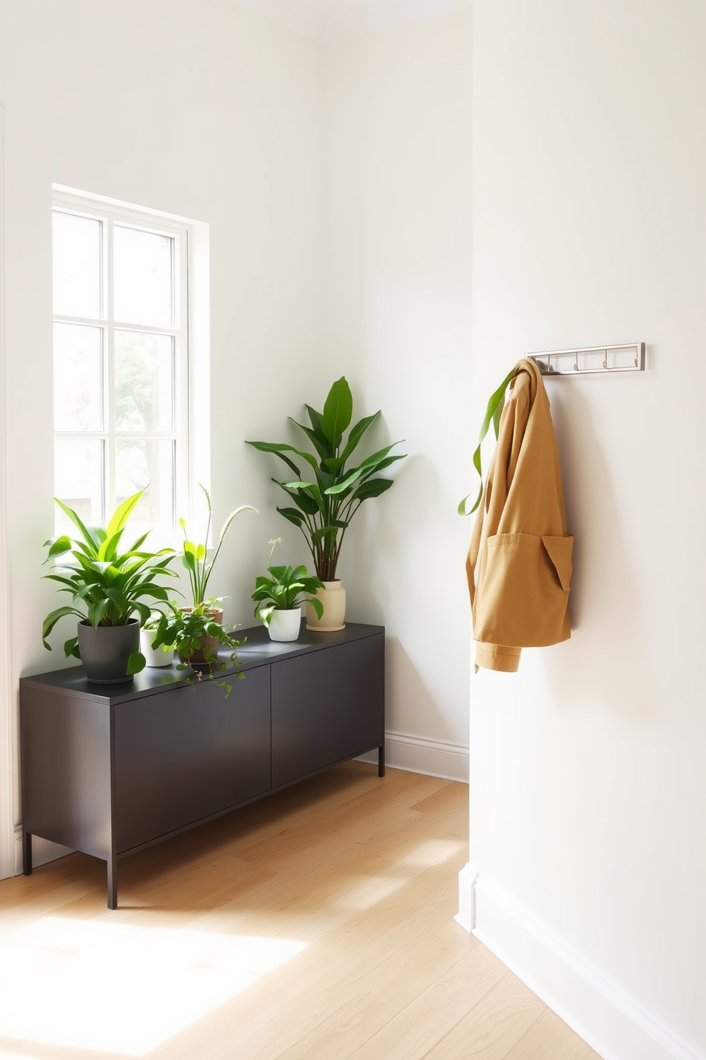 A small entryway filled with welcoming plants creates a fresh and inviting atmosphere. Lush green potted plants are strategically placed on a sleek console table, complementing the light wood flooring. The walls are painted in a soft white hue, enhancing the natural light that floods the space. A minimalist coat rack made of brushed metal adds functionality without compromising the aesthetic.