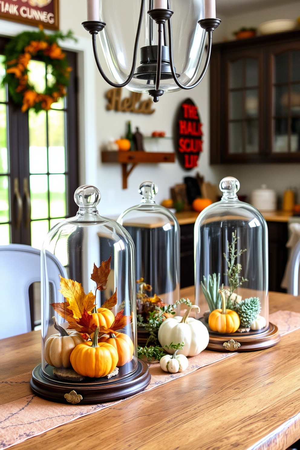 A charming kitchen decorated for Thanksgiving features several glass cloches elegantly arranged on a rustic wooden table. Each cloche contains seasonal items such as mini pumpkins, colorful leaves, and aromatic herbs, creating a warm and inviting atmosphere.