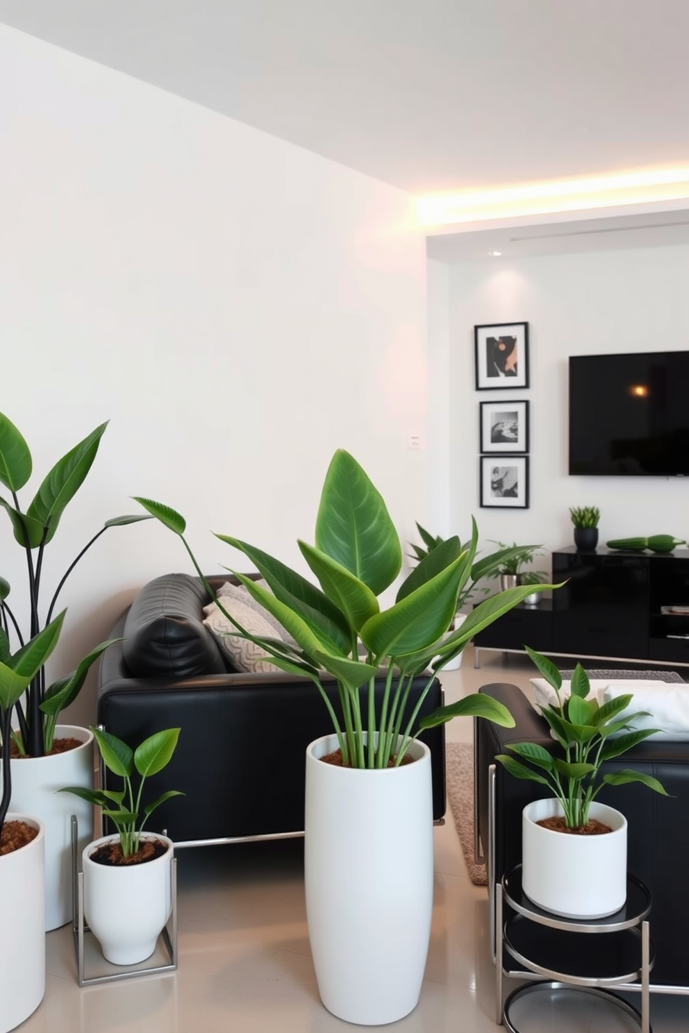 A serene minimalist space featuring a collection of white plants elegantly arranged in simple ceramic pots. The backdrop is a soft white wall that enhances the freshness of the greenery. A stylish man cave designed with a modern aesthetic showcasing dark leather furniture and sleek metal accents. The space includes a large flat-screen TV mounted on a feature wall adorned with framed art and ambient lighting.