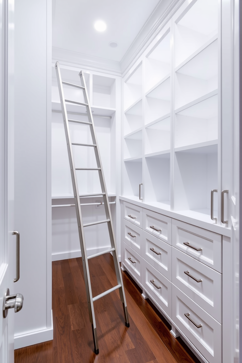 A luxurious walk-in closet featuring hidden compartments for valuables. The design includes sleek cabinetry with a mix of open shelving and closed storage, allowing for organized display and discreet concealment. Soft, ambient lighting highlights the elegant finishes, while a plush area rug adds comfort underfoot. The color palette consists of soft neutrals with gold accents, creating a sophisticated and inviting atmosphere.